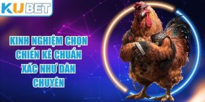 Kinh Nghiệm Chọn Chiến Kê